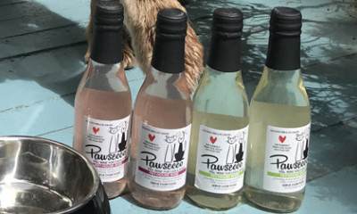 Free Pawsecco & Other Goodies