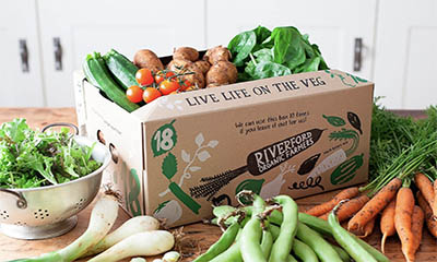 Free Riverford Organic Box