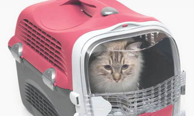 Free Catit Cabrio Carrier