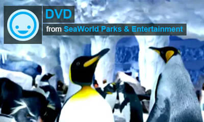 Free SeaWorld DVD