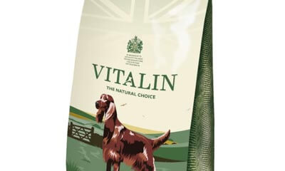 Free Vitalin Dog Food