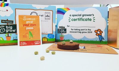 Free Vegetable Seed Packets