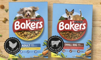 Free Bakers Dog Food