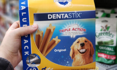 Free Coupon for Pedigree Dentastix