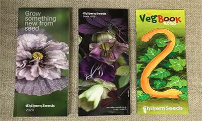 Free VegBook and Seed Catalogue