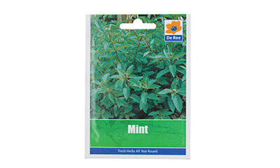Free Mint Seeds Pack