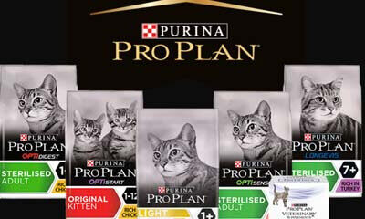 Free Purina Pro Plan Cat Food