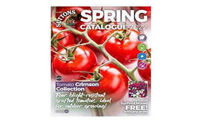Free Vegetable Seeds Brochure