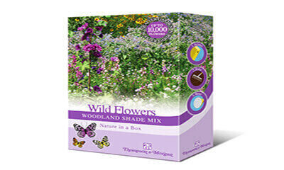 Free Wildflower Seeds – 45,000 Available