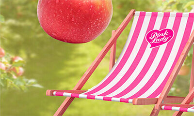Free Pink Lady Deck Chair