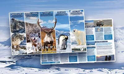 Free BBC Frozen Planet Poster