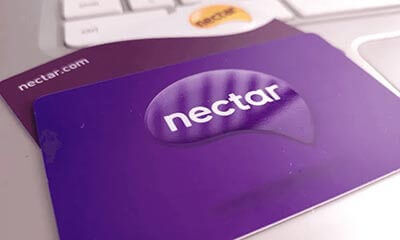 Free 250 Nectar Points