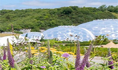 Free Entry at Eden Project