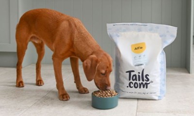 Free Dog Food Bag (Worth £24)