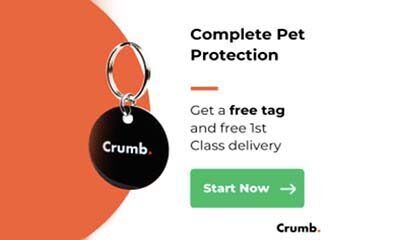 Free Pet Tag (Worth £19.99)