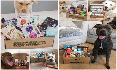 Free Box of Dog Goodies, Just Pay P&P!
