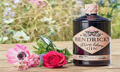 Free Hendrick’s Gin & Tonic