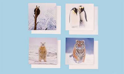 Free Christmas Cards Pack