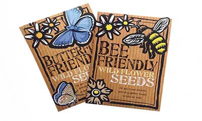 Free Wildflower Seeds Packet