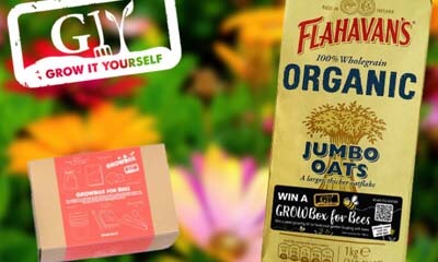 Free GrowBox for Bees Seed Kit