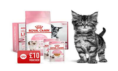 Free Royal Canin Kitten Food