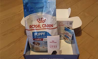 Free Royal Canin Dog Food