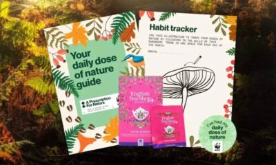 Free Tea Bags & Nature Activity Pack