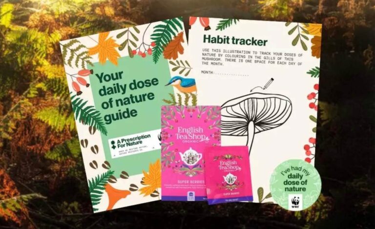 Free Tea Bags & Nature Activity Pack