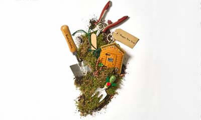 Free Garden Seeds & Workshop