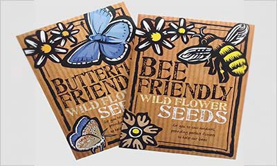 Free Wildflower Seeds Kit