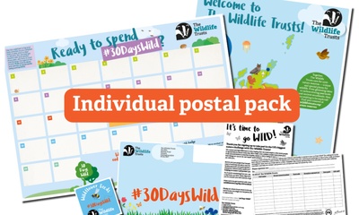 Free Herb Seeds & Children’s Activity Pack