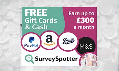 Earn Up To £300 Per Month