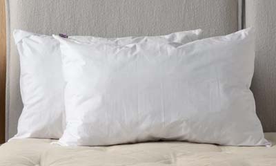 Free Naturalmat Mattress, Topper or Wool Pillows
