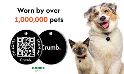 Free Pet Tag (Worth £19.99)