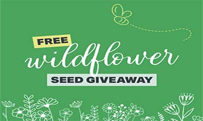 Free Seeds at Select London Tube Stations