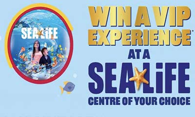 Win a VIP Family Day Out at Sea Life