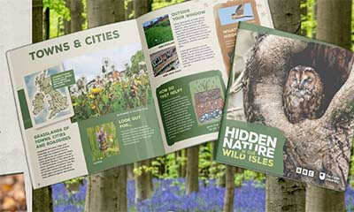 Free BBC Wildlife Book & Postcard