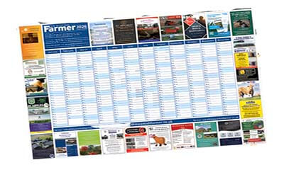 Free 2026 Wall Planner