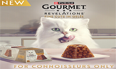 Free Gourmet Revelations Fine Cuts in Gelée