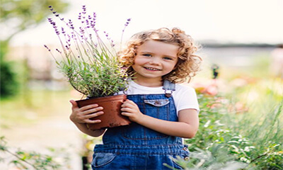 Free Dobbies Children’s Garden Workshop