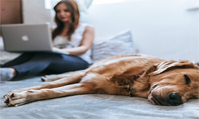 Free Y Live Surveys – Earn £1 Every 5 Minutes