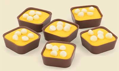 Free Hotel Chocolat Chocolate