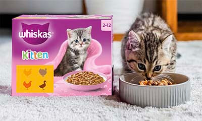 Free Whiskas Cat & Kitten Food
