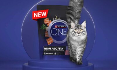 Free Purina One High Protein