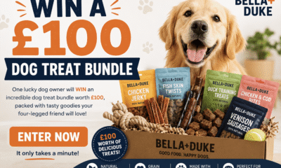Win a £100 Dog Treat Bundle