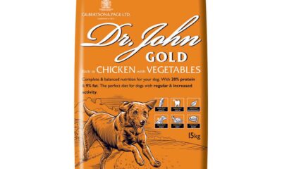 Free Chicken & Vegetable Dog Food