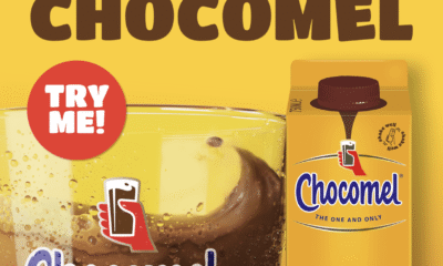 Free Chocomel Chocolate Milk Carton