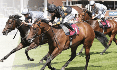 Free Horse Racing Tickets