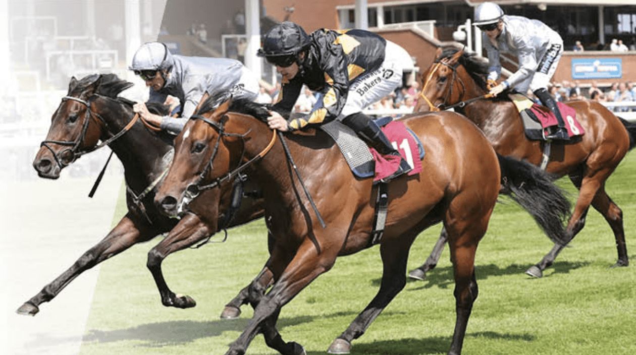 Free Horse Racing Tickets