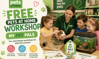 Free Pets at Home Workshop